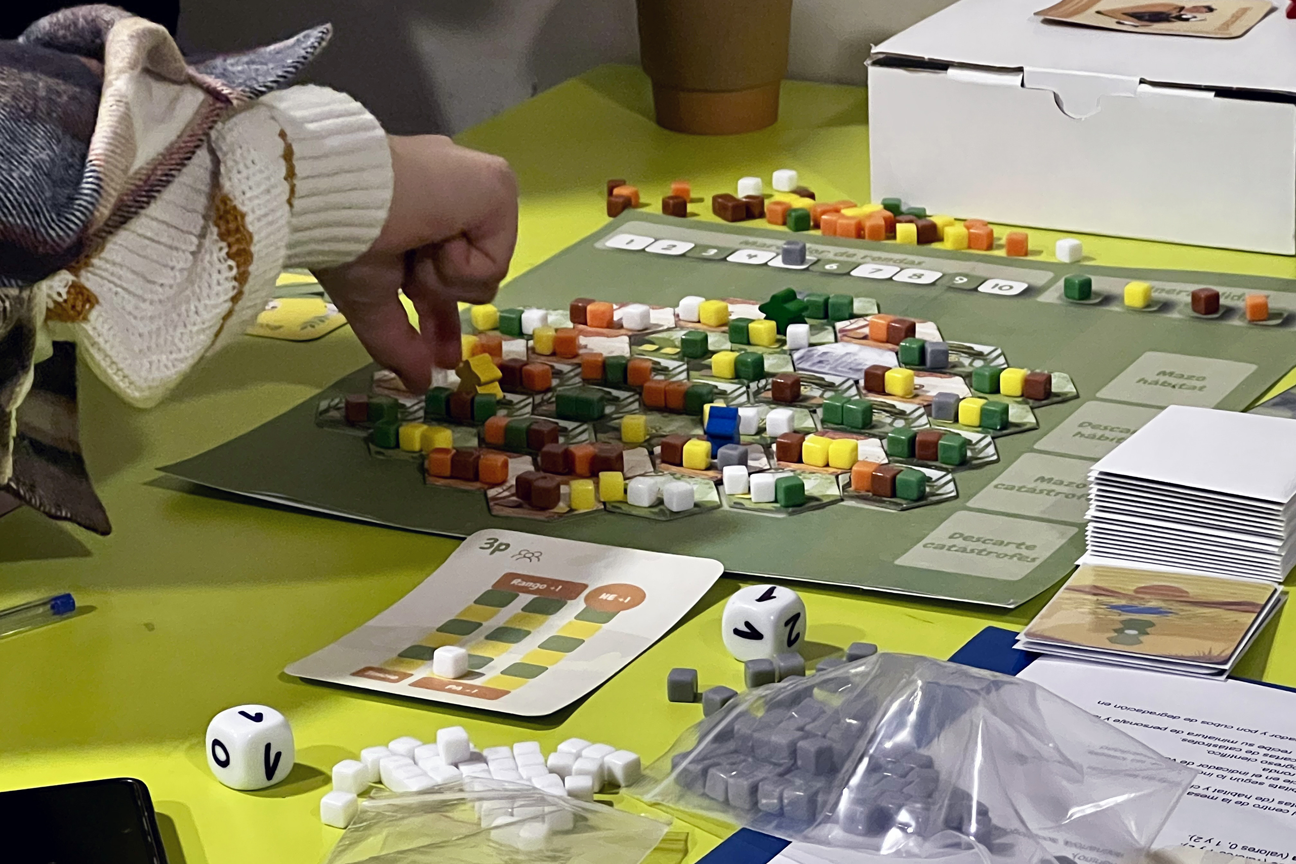 “Desafío Gaia”: Juego de mesa enseña efectos del cambio climático en los bosques chilenos